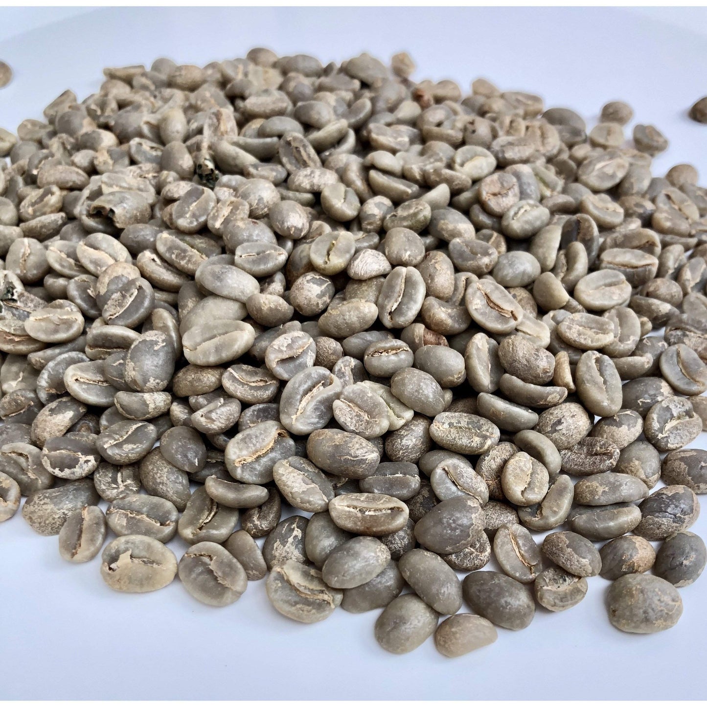Rainforest Alliance Organic - Colombia Sol Bohmeio - 2kg