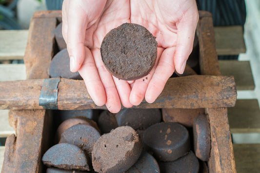 Beyond the cup – what can you do with your used coffee grounds?
