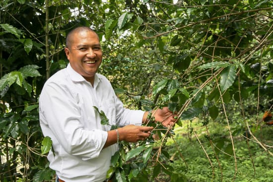 FILTER - Colombia - James Fernandez - Finca La Laja - El Tambo - Double Fermentation Honey