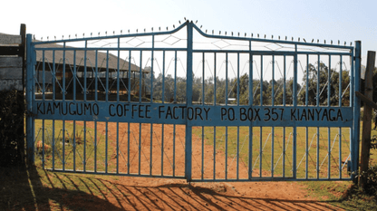 The gate at Kiamugumo Coffee Factory, Kianyaga, Kirinyaga, Kenya